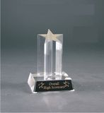 Custom Acrylic Star Award (5