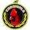 Custom TM Medal Series w/ Cardinals Scholastic Mascot Mylar Insert, Price/piece