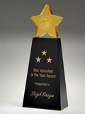 Custom Golden Star Award, 7