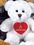 Custom Jamie Bear Stuffed Polar White Bear, Price/piece