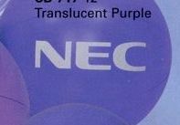 Custom Translucent Purple Beachballs / 12"