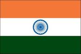 Custom India Endura Poly Outdoor UN Flags of the World (3'x5')