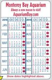 Custom 2-Color Calendar & Info Panel Wallet Card- Special-Dated Calendar
