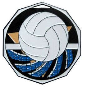 Custom 2" Decagon Color Medal Volleyball