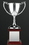 Custom Swatkins Endurance Cup Award w/ Raised Rectangle Walnut Base (11.5"), Price/piece