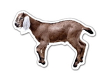 Custom Goat Magnet - 5.1-7 Sq. In. (30MM Thick)