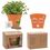 Custom Wall Sprouts Planter Blossom Kit, 4 1/8" W x 3 1/2" H x 2 1/2" D, Price/piece