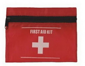 Custom Handy First Aid Kit Bag, 5 1/2" L x 4 1/4" W