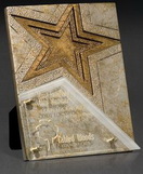 Custom Large Resounding Star Plaque Award