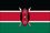 Custom Kenya Nylon Outdoor UN Flags of the World (3'x5'), Price/piece