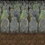 Custom Graveyard Backdrop, 4' L x 30' W, Price/piece