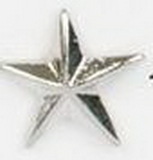 Custom Silver Star Stock Cast Pin