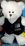 Custom 10" White Smitty Bear Stuffed Animal, Price/piece