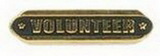 Custom Stock Die Struck Pin (Volunteer)
