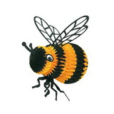 Custom Tissue Bee, 14