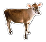 Custom Calf Cow Magnet (7.1-9 Sq. In. & 30mm Thick)