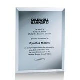 Custom Silver Mirror Plaque Award (5