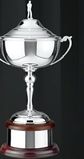 Custom Swatkins Ultimate Winner's Plain Cup Award w/ Lid (12