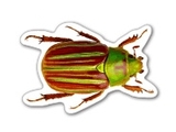 Custom Bug Magnet (2.66 Sq. In.), 15mm Thick
