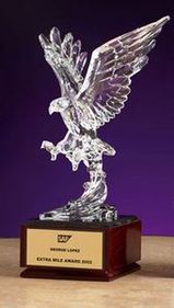 Custom Acrylic Hawk Award (9")