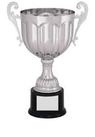 Custom Silver Plated Aluminum Cup Trophy w/ Plastic Base (11 3/4")