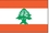 Custom Nylon Lebanon Indoor/Outdoor Flag (4'x6'), Price/piece