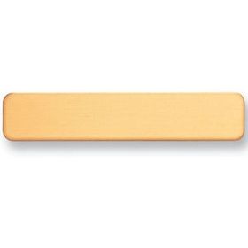 Custom Satin Brass Name Badge W/Joint & Safety Clutch (2 1/2"X1/2")