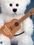 Custom Felt Guitar for Stuffed Animal, Price/piece