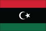 Custom Libya Nylon Outdoor UN Flags of the World (4'x6')