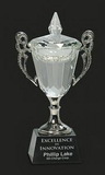 Custom Championship S Crystal Cup Trophy Award S, 8