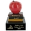 Custom Teacher's Award Scholastic Resin Trophy w/Engraving Plate, Price/piece