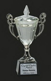 Custom Championship L Crystal Cup Trophy Award L, 11 1/4