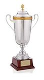 Custom Winner's Cup Award (22