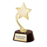 Custom Flying Star Award