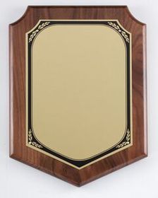Blank American Walnut Plaque w/ Brush Brass Engraving Plate (9"x12")