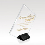 Custom Visions FS-320 Magellan Award