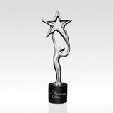 Custom Visions FS-426C-14 Argent Star Award