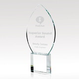 Custom Visions FS-976 Illuminate Award