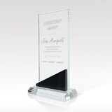 Custom Visions FS-994RE Versatile Award