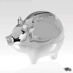 Custom Visions KW-S2005 Piggy Bank