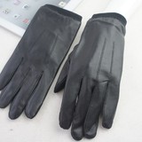 Custom DW-2009 Leather Stylus Gloves with Soft Fleece Lining