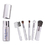Custom 5 Pieces Cosmetic Brush Set, 3 3/4" H x 7/8" D, Price/each