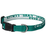 Custom Classic Dog Collar, 9-14"