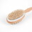 Custom High Caliber Line H161 Double-Sided Bath and Massager Brush