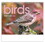 Custom Triumph Calendars 1053 Birds Calendar, Digital, 11"w x 10"h Closed, 11"w x 19"h Open, Price/each
