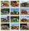 Custom Triumph Calendars 1851 Antique Tractors Calendar, Digital, Price/each