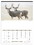 Custom Triumph Calendars 3107 North American Wildlife Calendar, Offset, Price/each