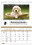 Custom Triumph Calendars 4101 Recipe Pocket Calendar, Digital, Price/each