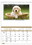 Custom Triumph Calendars 4101 Recipe Pocket Calendar, Digital, Price/each