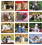 Custom Good Value Calendars 7207 Puppies & Kittens - Stapled Calendar, Offset, Price/each